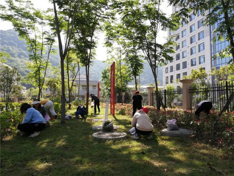 中共石台县委党校组织开展环境卫生清理志愿服务活动