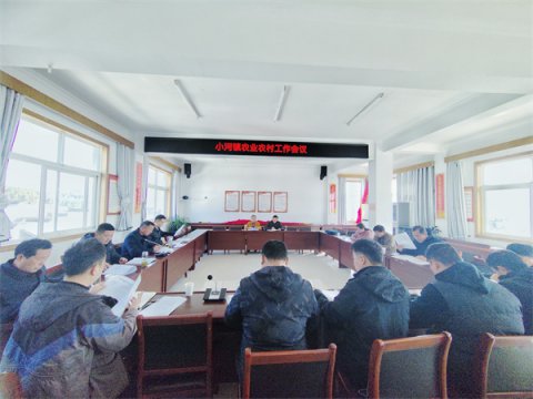 不负一年春之计，风好正是扬帆时——小河镇召开2023年农业农村工作会议