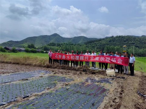 石台县：实施科技强农 守“粮袋”促增收